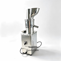 Hoogwaardige 1200W/1500W/2000W professionele volledig roestvrijstalen automatische gember-, wortel- en fruitpers