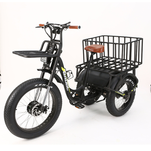 Triciclo de Reparto de Tres Ruedas de Largo Alcance y 2000W - Product Image 2