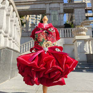 Robe vintage style campagne française, motif petit ours en mousse, originale et mignonne, pour séance <span class=keywords><strong>photo</strong></span> d'animaux, livraison gratuite - Product Image 5