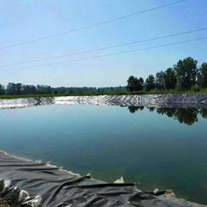 HDPE LDPE LLDPE PVC ポリエチレン 黒 白 緑 青 0.3-3mm ジオメンブレン 魚槽ライナー 池 魚養殖場 ダム - Product Image 2