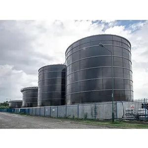 Biodigestore con riscaldatore industriale bio gas serbatoio doppia membrana CSTR digestore anaerobico