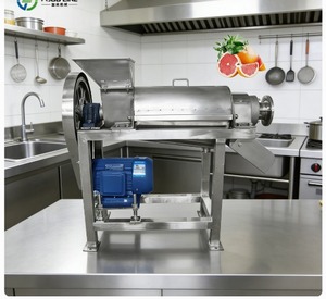 Máquina Automática para Producción de Jugo de Frutas, Extractor de Jugo de Frutas - Product Image 1