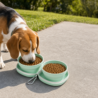Bol pliable pour animaux de compagnie en silicone personnalisé, 2 en 1, bol portable pour chien de qualité alimentaire, double bol, mangeoire de voyage en plein air, sans BPA, antidérapant