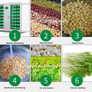 Tự động đậu xanh cỏ đậu phộng Điện Thủy canh thức ăn gia súc màu xanh lá cây hạt giống nhà sản xuất nảy mầm phát triển máy - Product Image 3