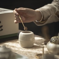 Mini pot en céramique avec couvercle en ébène, stockage hermétique pour poudre d'encens, urne commémorative pour animaux de compagnie