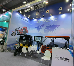 Triciclo Hokii Gasoline Passenger Cng Motor con techo <span class=keywords><strong>Trimotor</strong></span> a la venta - Product Image 6