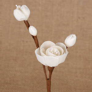 Aromathérapie, <span class=keywords><strong>Fleurs</strong></span> <span class=keywords><strong>vivaces</strong></span>, Bouquets de roses, <span class=keywords><strong>Fleurs</strong></span> de prunier, Branches à plusieurs têtes, Camélia - Product Image 1