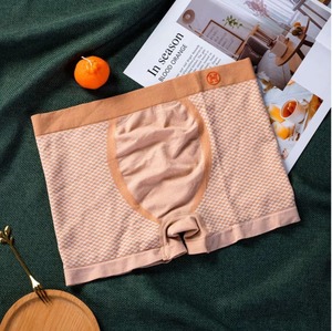 Sous-vêtements Boxers à Taille Élastique et Impression Lettres pour Garçons, Transparents, Sexy, Culottes et Slips, Vente en Gros à Faible MOQ - Product Image 4