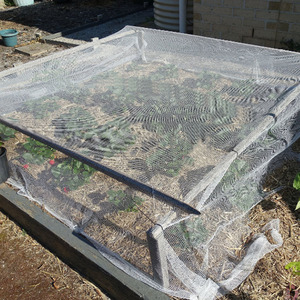 Tùy chỉnh 40 50 60 lưới chống côn trùng lưới nông nghiệp Insect Repellent <span class=keywords><strong>Net</strong></span> - Product Image 4