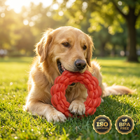 Jouet à mâcher interactif en caoutchouc durable personnalisé pour chiens agressifs, anneau de nettoyage des dents, jouet à mâcher pour chien