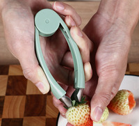 Multifunctionele snijder/mes van roestvrij staal voor ananas, aardbeien, groenten & fruit, met oogjes/zaden verwijderaar