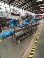 Op maat gemaakte complete productielijn voor het verwerken van gefrituurd voedsel, zoals aardappelchips, kip, vis, en machines voor het paneermeel en het bespatten.