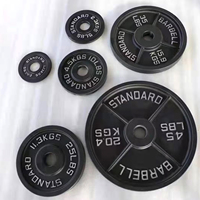 VIGFIT Disques de musculation en fonte pour salle de sport, plaques de poids peintes, disques de bumper, pesas de gimnasio, disques personnalisés – Vente en gros