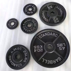 VIGFIT Disques de musculation en fonte pour salle de sport, plaques de poids peintes, disques de bumper, pesas de gimnasio, disques personnalisés – Vente en gros - Product Image 2