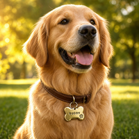 Benutzer definierte Großhandel Hochwertige Nette Hund Katze Tag Gold Nickel Metall Niedriger Preis Haustier Namensschild Gravur Pfote Für Mode Metall Hunde marken