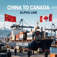 Expédition FCL LCL Chine vers Canada, fret maritime, agent de transit maritime EXW FOB DDP DAP, service maritime, dédouanement et transport en vrac inclus