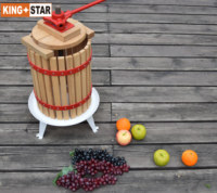 Professionele Houten Fruit Persmachine Druivenappel Fruitpers