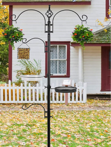 Teel et <span class=keywords><strong>Bird</strong></span> - Product Image 2