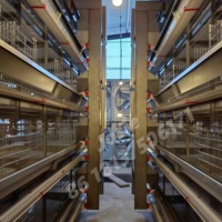 Cages pour animaux de conception multicouche commerciale Cage pour petits animaux équipement d'élevage de poulet ensemble complet 50 argent fourni sur mesure