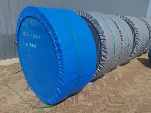 China Hoge Kwaliteit Hittebestendige Zuur Alkali Weerstand Roest Proof Transportband Voor Transport Zand