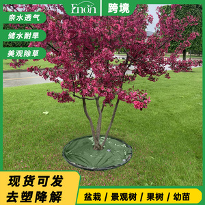 Malla de Control de Malezas para Jardín Fc2013, Biodegradable, Transpirable, Permeable al Agua, de 50-150g/m - Product Image 5