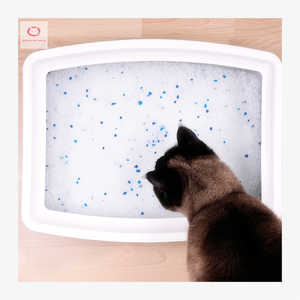 Son derece emici doğal mikro kristal kedi kumu Silica olmayan topaklanma silika jel kedi kumu kristal kedi kumu - Product Image 3