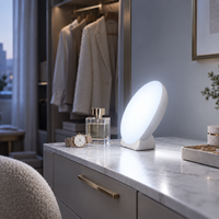 Lampu Meja LED Lima Warna untuk Kamar Hotel Butik Grosir, Kecerahan Dapat Disesuaikan, Timer 15-60 Menit