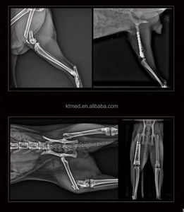 Équipement vétérinaire de radiographie et de tomodensitométrie haute résolution 4-en-1 KT-WCT01 VET, <span class=keywords><strong>prix</strong></span> d'usine pour les hôpitaux - Product Image 5