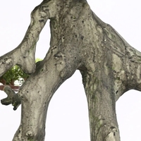 Plantes artificielles d'arbre de bonsaï de cyprès pour la décoration à la maison pour la remise des diplômes et les occasions d'Halloween