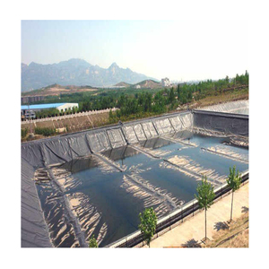 Giá tốt nhất <span class=keywords><strong>HDPE</strong></span> <span class=keywords><strong>geomembrane</strong></span> tấm thiết kế hiện đại Pond Liner bãi rác - Product Image 3