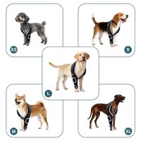 Attelle de genou universelle réglable à quatre pattes pour chien, attelle de genou pour animaux de compagnie pour l'arthrite du ligament croisé antérieur, luxation rotulienne, dysplasie de la hanche