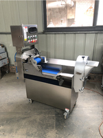 Commerciële multifunctionele machine voor het snijden van gember, kurkuma, groenten en het in blokjes snijden van kool en fruit