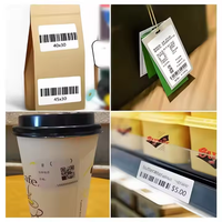 Imprimante d'étiquettes thermiques vierges personnalisées Phoomemo Bluetooth thermosensibles, étiquettes d'expédition imperméables, étiquettes d'emballage avec logo thermique