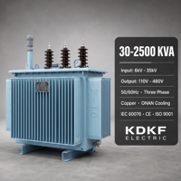 Transformador Trifásico Sumergido en Aceite S11 de 80kVA, 50/60Hz, 10kV, 380V/400V, 6KV, Bobinas de Cobre, Totalmente Sellado, Doble Bobinado, IP54, IEC