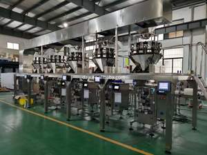 DZJX paslanmaz çelik <span class=keywords><strong>Z</strong></span> tarzı <span class=keywords><strong>Model</strong></span> kova asansörü Mini tip kova konveyör için kahve şeker toplu tozlar 4M Price fiyat - Product Image 4