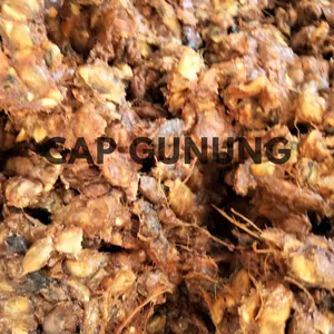Couleur de tamarin naturel de qualité supérieure Nouvelles cultures 2023 Tamarindo épices en vrac Tamarin Ingrédients alimentaires Marque Gunung Indonésie