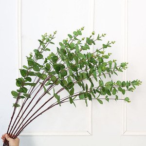 Feuilles d'eucalyptus artificielles Lichao, plante verte pour la décoration de la maison, mariage, accessoires de photographie en extérieur - Product Image 2