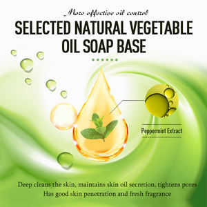 Savon Solide à la Menthe Bio avec Vitamines et Huile de Palme pour Soin Quotidien, Nettoyage en Profondeur, Élimination des Odeurs, Contrôle du Sébum - Product Image 4