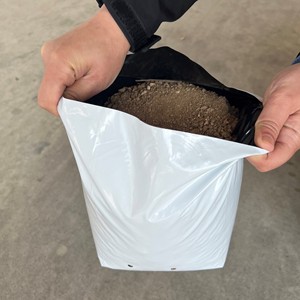 Sacchi per Piante in Plastica PE Bianchi e Neri da 7 Galloni o Personalizzabili, per Alberi da Frutto e Ortaggi - Product Image 1