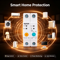 GXB1-63M WiFi Smart Breaker 63A 1P 2P dengan Pengukuran Daya, Kontrol Suara Jarak Jauh via Aplikasi TUYA, Pemutus Sirkuit Otomatis