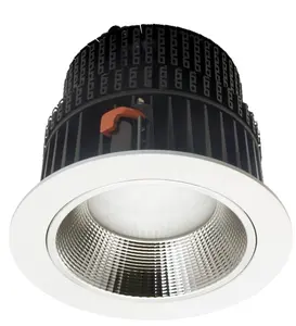 IP20 IP44 Dimmable Haute Puissance 100w Led Downlight IP65 Smd Down Light