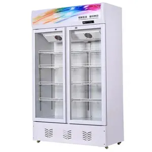 Geladeira Frost เครื่องทำเครื่องดื่มเย็นฟรี2ประตูตู้แช่แข็งเชิงพาณิชย์