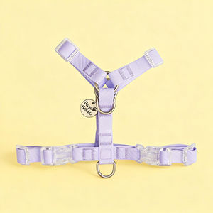 สายจูงสุนัขขนาด XL ทันสมัยพร้อมดีไซน์รูปตัว Y กันน้ำสไตล์เรียบง่ายหรูหรามีคุณสมบัติสะท้อนแสง - Product Image 1