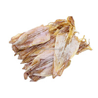 Gedroogde inktvis 10kg/verpakking met 30% vochtgehalte, superieure herhydratatie, authentieke smaak voor restaurants & groothandels