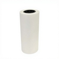 Film DTF PET HyperTransprint A4 haute flexibilité, pelable à froid, double face, pour lamination 3D, transfert thermique 130-150