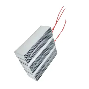 Chinesischer Lieferant 48v 300w Heiz widerstand Heizelement regler ptc Keramik Luft heizelement