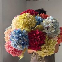 Bunga Hydrangea Artificial Sutra dengan Sentuhan Realistis dan Tepi Terbakar, Simulasi Ranting Bunga untuk Dekorasi Rumah, Pernikahan, dan Pesta