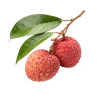 Zoete Biologische Premium Verse Lychee uit Vietnam 10 kg/doos Verpakt voor Europese, Midden-Oosterse en Aziatische importeurs