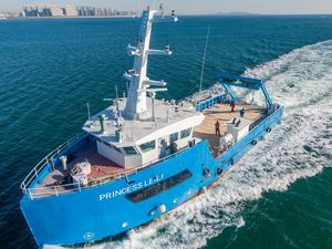 बिक्री के लिए उपलब्ध प्लेटफॉर्म की आपूर्ति के लिए ग्रैंड 100 फीट/32 मीटर एल्यूमीनियम उपयोगिता नौका - Product Image 2