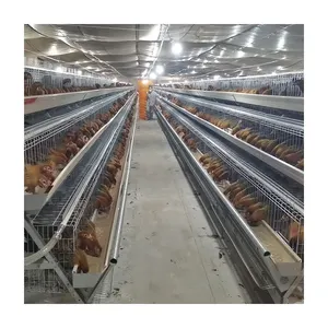 Meilleure vente d'usine Cages pour poules pondeuses automatiques de haute qualité pour les fermes avicoles